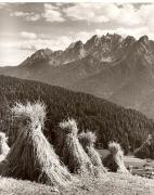 Heuernte (Grasernte) (Positivo) di Foto Fuchs-Hauffen, Überlingen (1950/01/01 - 1969/12/31)