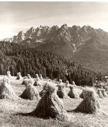 Heuernte (Grasernte) (Positivo) di Foto Fuchs-Hauffen, Überlingen (1950/01/01 - 1969/12/31)