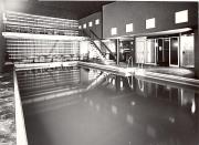 piscina (Positivo) di Foto Fuchs-Hauffen, Überlingen (1950/01/01 - 1969/12/31)