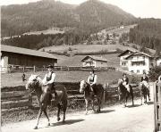 cavallo (Positivo) di Foto Fuchs-Hauffen, Überlingen (1950/01/01 - 1969/12/31)
