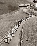 prato (Positivo) di Foto Fuchs-Hauffen, Überlingen (1950/01/01 - 1969/12/31)