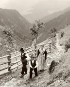 costume tradizionale (Positivo) di Foto Fuchs-Hauffen, Überlingen (1950/01/01 - 1969/12/31)