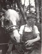 cavallo (Positivo) di Foto Wenzel Fischer, Garmisch (1950/01/01 - 1969/12/31)