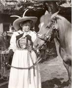 cavallo (Positivo) di Foto Fuchs-Hauffen, Überlingen (1950/01/01 - 1969/12/31)