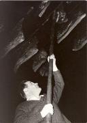 Lebensmittel (Positivo) di Foto Sandro Saltuari, Bozen (1950/01/01 - 1969/12/31)