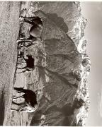 cavallo (Positivo) di Foto Fuchs-Hauffen, Überlingen (1950/01/01 - 1969/12/31)