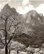 Motiv: Frühling (Positivo) di Foto Fuchs-Hauffen, Überlingen (1950/01/01 - 1969/12/31)