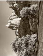 Motiv: Frühling (Positivo) di Foto Fuchs-Hauffen, Überlingen (1950/01/01 - 1969/12/31)