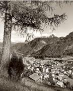 Lärche (Positivo) di Foto Fuchs-Hauffen, Überlingen (1950/01/01 - 1969/12/31)