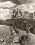 prato (Positivo) di Foto Fuchs-Hauffen, Überlingen (1950/01/01 - 1969/12/31)