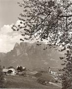 prato (Positivo) di Foto Fuchs-Hauffen, Überlingen (1950/01/01 - 1969/12/31)