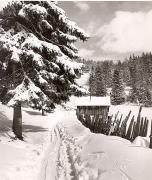 Motiv: Winter (Positivo) di Foto Fuchs-Hauffen, Überlingen (1950/01/01 - 1969/12/31)