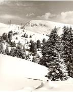 prato (Positivo) di Foto Fuchs-Hauffen, Überlingen (1950/01/01 - 1969/12/31)