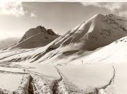 Schnee/Reif (Positivo) di Foto Fuchs-Hauffen, Überlingen (1950/01/01 - 1969/12/31)