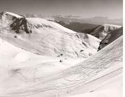 Schnee/Reif (Positivo) di Foto Fuchs-Hauffen, Überlingen (1950/01/01 - 1969/12/31)