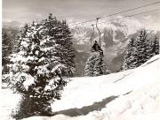 Schnee/Reif (Positivo) di Foto Fuchs-Hauffen, Überlingen (1950/01/01 - 1969/12/31)