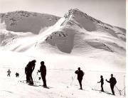 Schnee/Reif (Positivo) di Foto Fuchs-Hauffen, Überlingen (1950/01/01 - 1969/12/31)