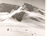 Schnee/Reif (Positivo) di Foto Fuchs-Hauffen, Überlingen (1950/01/01 - 1969/12/31)