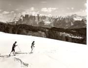 Langläufer (Positivo) di Foto Fuchs-Hauffen, Überlingen (1950/01/01 - 1969/12/31)