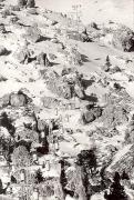 Motiv: Winter (Positivo) (1950/01/01 - 1969/12/31)