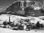bosco (Positivo) (1950/01/01 - 1969/12/31)