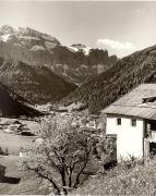 Motiv: Frühling (Positivo) di Foto Elisabeth Fuchs-Hauffen, Überlingen/Bodensee (1950/01/01 - 1979/12/31)