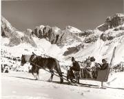 Pferdeschlitten (Positivo) di Foto Elisabeth Fuchs-Hauffen, Überlingen/Bodensee (1950/01/01 - 1975/12/31)