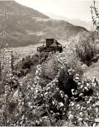 Motiv: Frühling (Positivo) di Foto Elisabeth Fuchs-Hauffen, Überlingen/Bodensee (1950/01/01 - 1969/12/31)