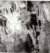 Frostberegnung (Positivo) (1950/01/01 - 1975/12/31)