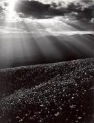 Wolken (Positivo) di Foto Wenzel Fischer, Garmisch (1950/01/01 - 1975/12/31)