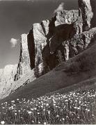 Motiv: Sommer (Positivo) (1950/01/01 - 1975/12/31)