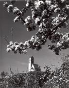 Motiv: Frühling (Positivo) di Foto Wenzel Fischer, Garmisch (1950/01/01 - 1975/12/31)