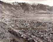 Motiv: Frühling (Positivo) di Foto Elisabeth Fuchs-Hauffen, Überlingen/Bodensee (1950/01/01 - 1975/12/31)