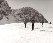 donna (Positivo) di Foto Tappeiner, Meran (1950/01/01 - 1975/12/31)