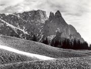 Krokus (Positivo) di Foto Wenzel Fischer, Garmisch (1950/01/01 - 1969/12/31)