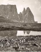 Motiv: Frühling (Positivo) di Foto Elisabeth Fuchs-Hauffen, Überlingen/Bodensee (1950/01/01 - 1969/12/31)