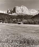 Motiv: Frühling (Positivo) di Foto Elisabeth Fuchs-Hauffen, Überlingen/Bodensee (1950/01/01 - 1969/12/31)