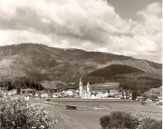 bosco (Positivo) di Foto Elisabeth Fuchs-Hauffen, Überlingen/Bodensee (1950/01/01 - 1979/12/31)