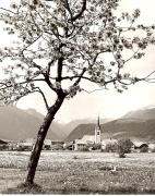 Motiv: Frühling (Positivo) di Foto Elisabeth Fuchs-Hauffen, Überlingen/Bodensee (1950/01/01 - 1979/12/31)
