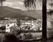 bosco (Positivo) di Foto Elisabeth Fuchs-Hauffen, Überlingen/Bodensee (1950/01/01 - 1979/12/31)