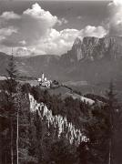 bosco (Positivo) (1950/01/01 - 1979/12/31)