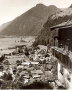 bosco (Positivo) di Foto Elisabeth Fuchs-Hauffen, Überlingen/Bodensee (1950/01/01 - 1979/12/31)