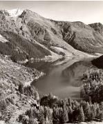 Nadelwald (Positivo) di Foto Fuchs-Hauffen, Überlingen (1950/01/01 - 1979/12/31)