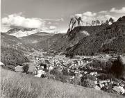 bosco (Positivo) di Foto Elisabeth Fuchs-Hauffen, Überlingen/Bodensee (1950/01/01 - 1979/12/31)