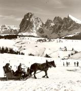 cavallo (Positivo) di Foto Fuchs-Hauffen, Überlingen (1950/01/01 - 1969/12/31)