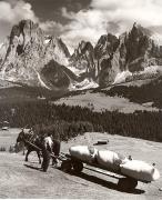 Heutransport (Positivo) di Foto Fuchs-Hauffen, Überlingen (1960/01/01 - 1985/12/31)