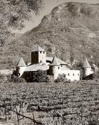 vigneto (Positivo) di Foto Elisabeth Fuchs-Hauffen, Überlingen/Bodensee (1960/01/01 - 1985/12/31)