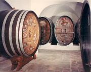 botte (Positivo) (1960/01/01 - 1979/12/31)