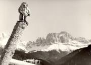 scultura (Positivo) di Foto Sandro Saltuari, Bozen (1950/01/01 - 1979/12/31)