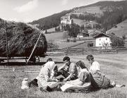 bosco (Positivo) di Foto Sandro Saltuari, Bozen (1950/01/01 - 1979/12/31)